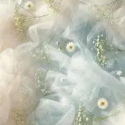 HINA.＊°の画像