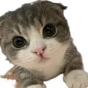 NORI