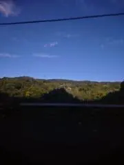 capの画像