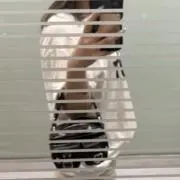 miuの画像