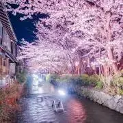 Kenの画像