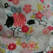 やまこのの画像