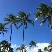 K...の画像
