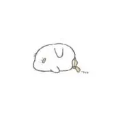 つなのの画像