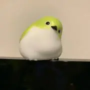 いちがつの画像