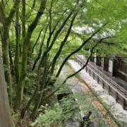 ✴︎できるだけ早く発送します✴︎断捨離中の画像