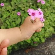 UUUAの画像