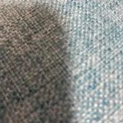 ももの画像