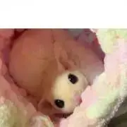 ♡ゆきほの♡