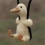 ヨシット☆