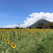 minの画像