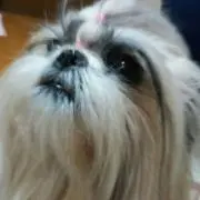 きぃ69の画像