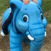 Maaの画像