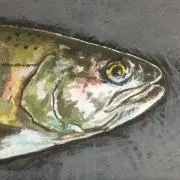 Mayの画像
