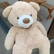 のんの画像