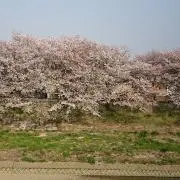 ひろ