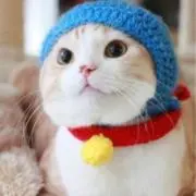 michiquitaの画像