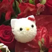アロ