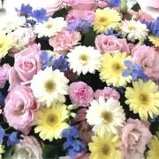 coco♡momの画像