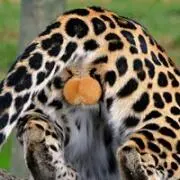 まっちょん