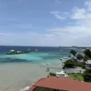 売り切りの画像