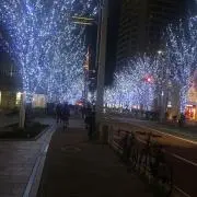 ぴのこの画像