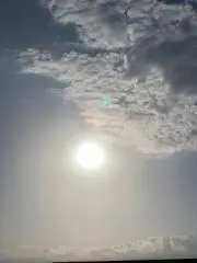 よっちゃんの画像