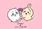 プルヤ【送料無料♪︎値下げ交渉OK！】の画像