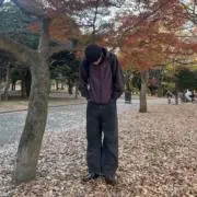 藤井暴風雨の画像