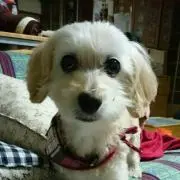 くみちゃん