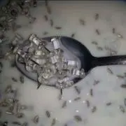 渚