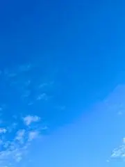 ユッティの画像