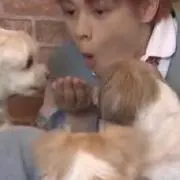 くすもとの画像