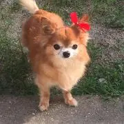 いおみの画像