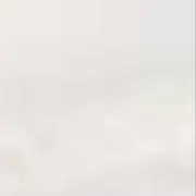 購入専門♪