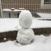 rinringの画像