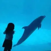 にゃーこ☆の画像