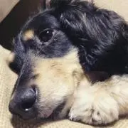タクミの画像