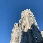 ナチョスの画像