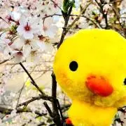 ✰u3ko✰:プロフィール必読