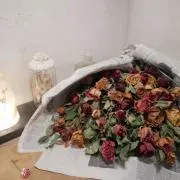 ササキの画像