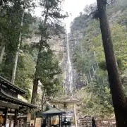 モリの画像