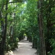 rewa＊momの画像