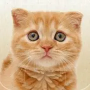 ピラミッド