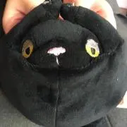 ぼやの画像