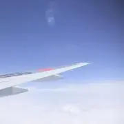 Yの画像