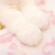 ひまり♡断捨離中の画像