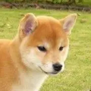 断捨離♻️リサイクルの画像
