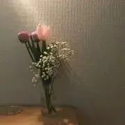 おにゃんこぽんの画像