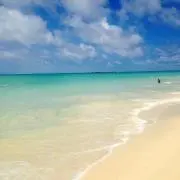 くくままの画像
